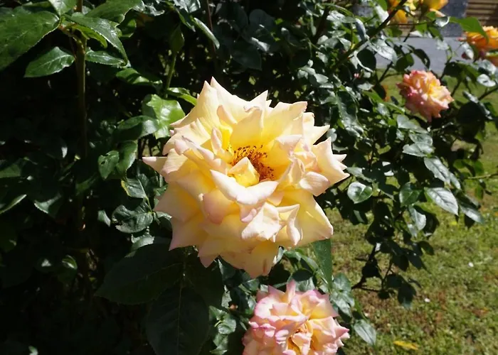 Hundertmorgenfeld Wo2 Appartamento Wernigerode